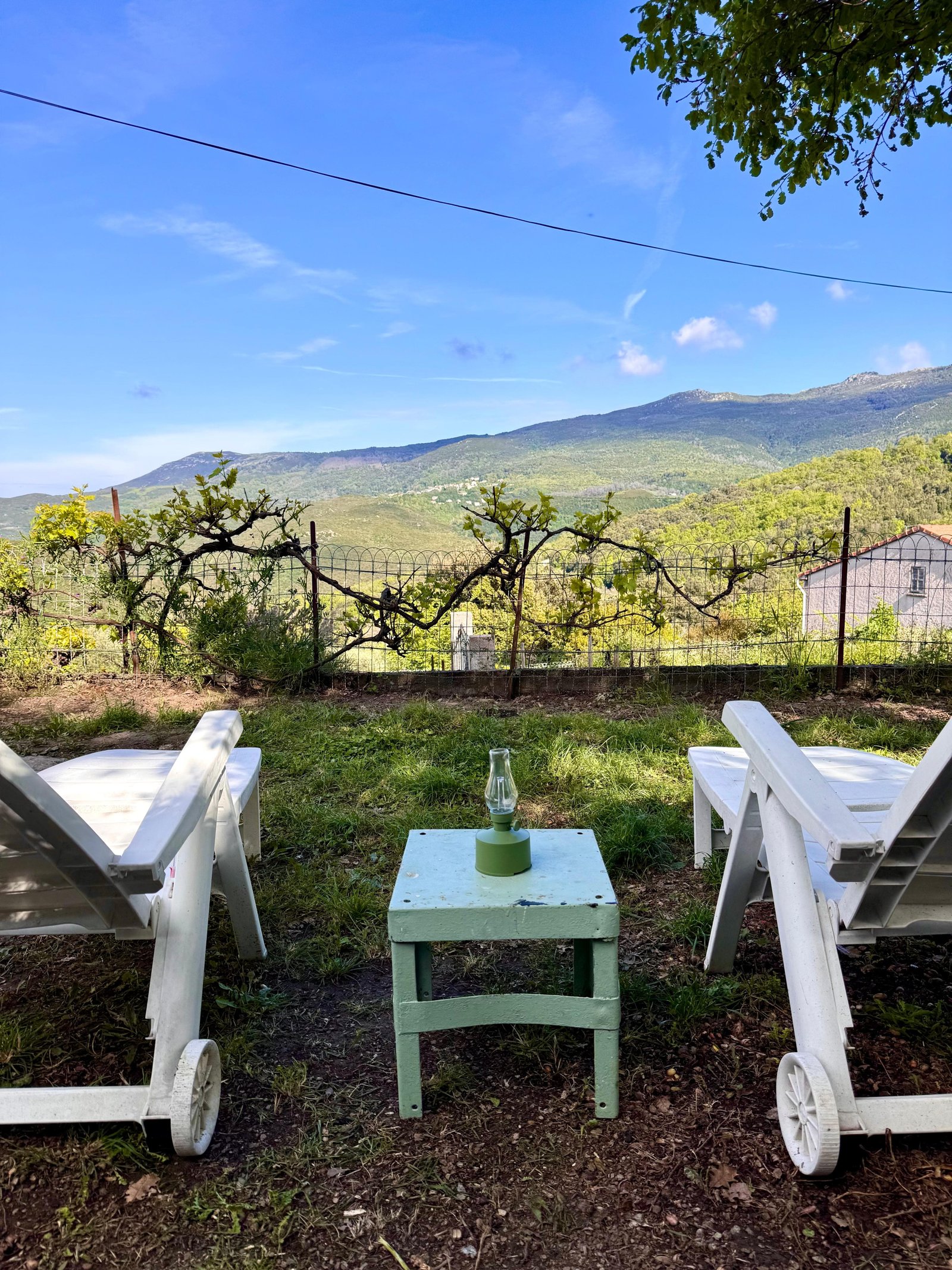 Jardin détente