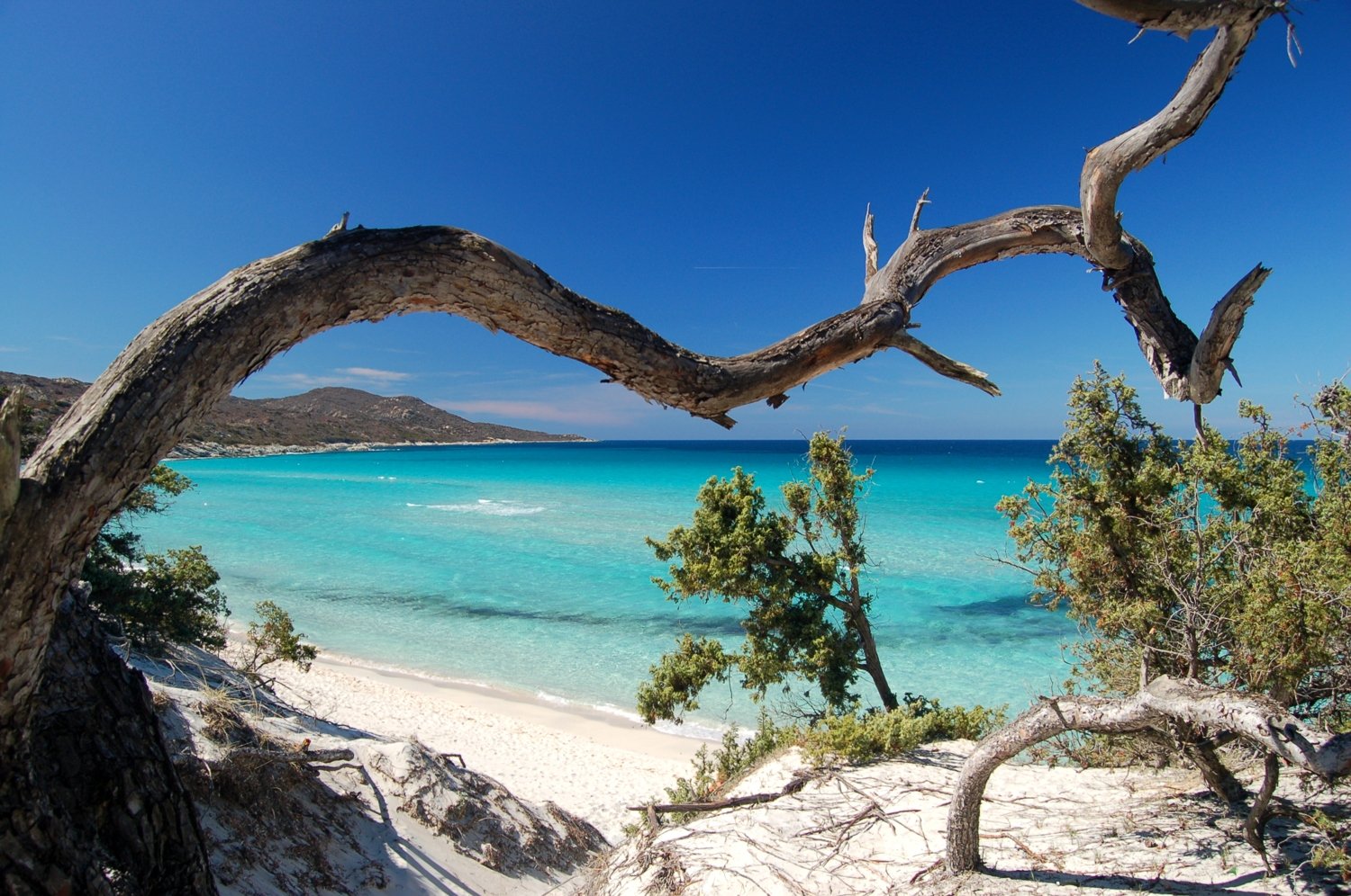 Plage de Saleccia